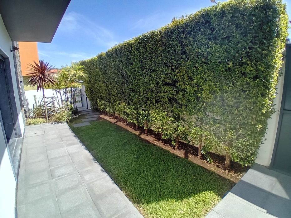 Serviços de jardinagem