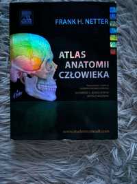 Netter atlas anatomii