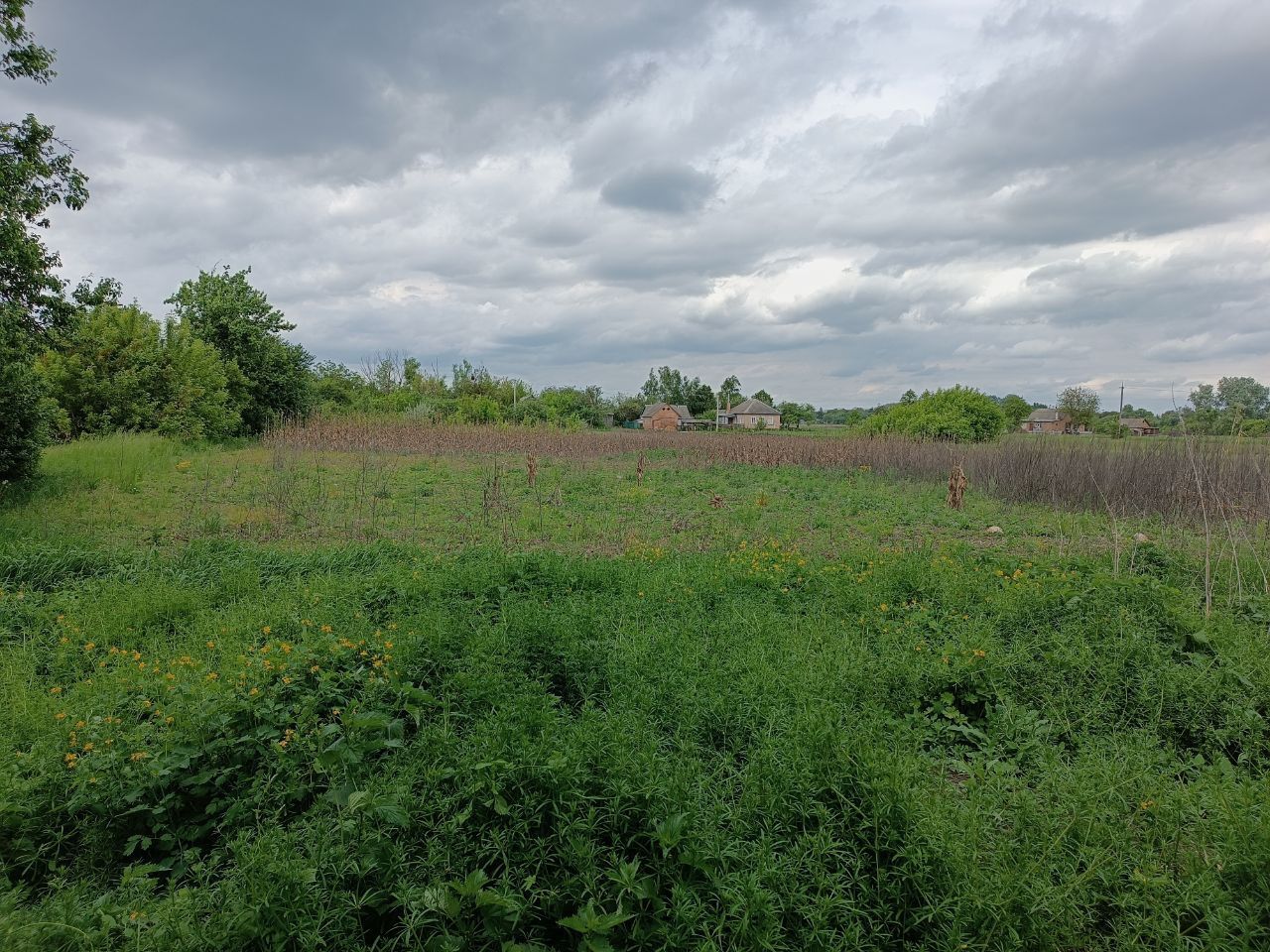 Продається будинок в селі Дмитрівка, Черкаської області