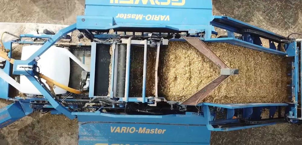 Kiszonka z kukurydzy Bele, kukurydza w belach