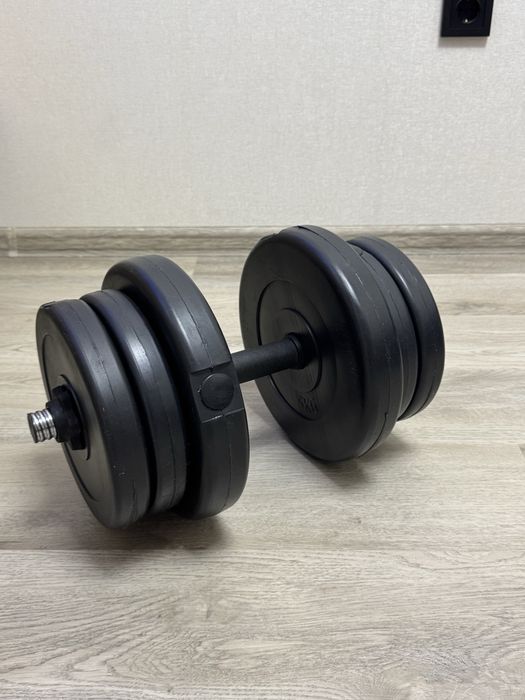Гантель 20кг + гриф. Розбірна