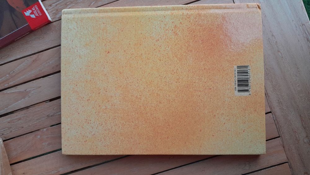 Livro O príncipe nabo- Ilse Losa