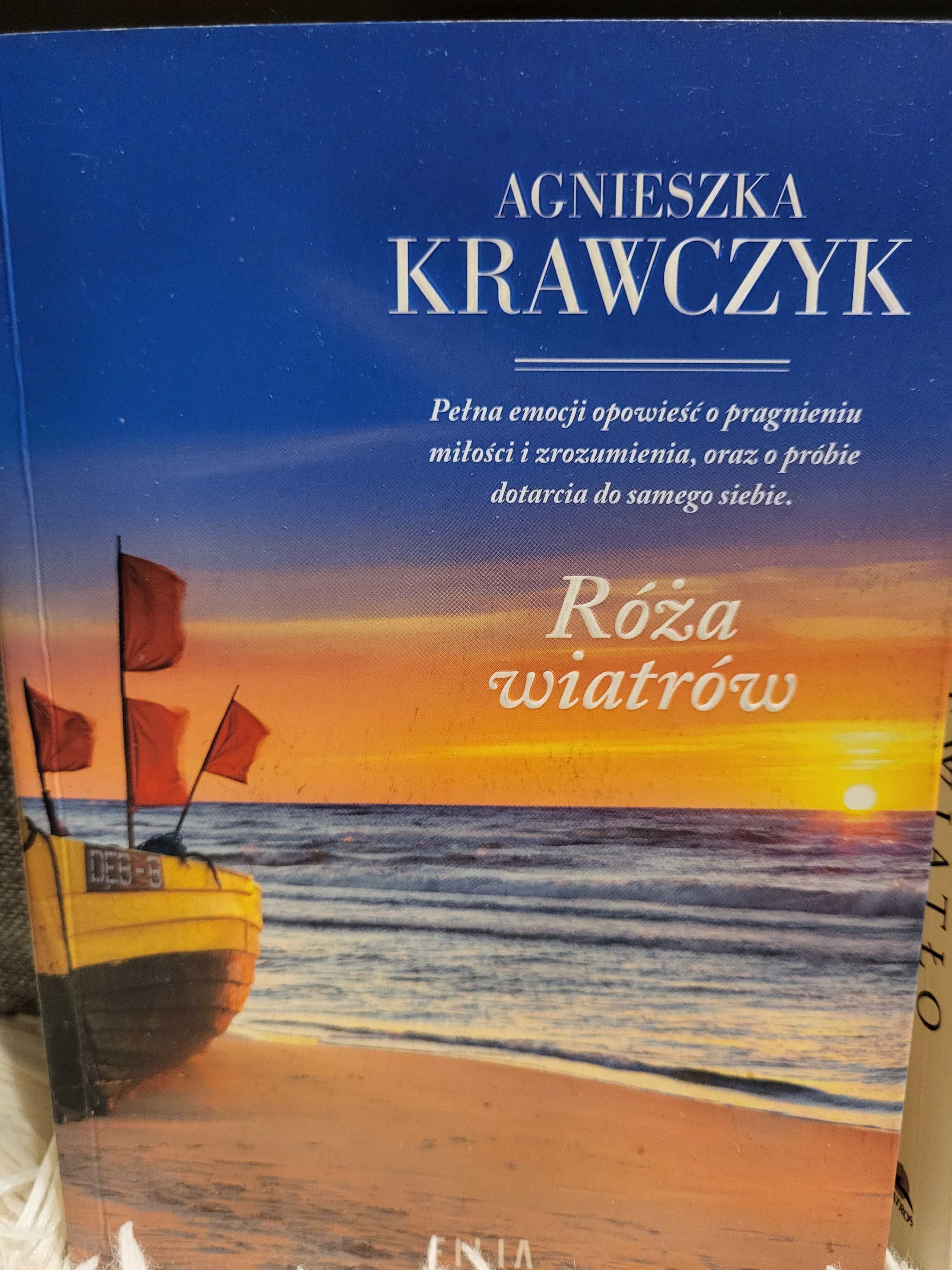 GRUBE!! książki beletrystyka  Światło między oceanami Róża wiatrów