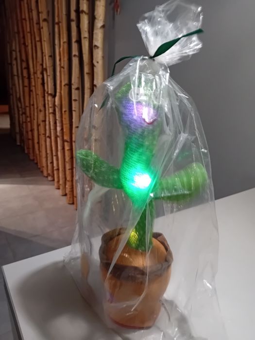 Gadający kaktus śpiewa tańczy powtarza wszystko zabawka Nowa