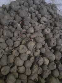 Buraczki odpadowe paszowe nie ziemniaki ok 5 ton
