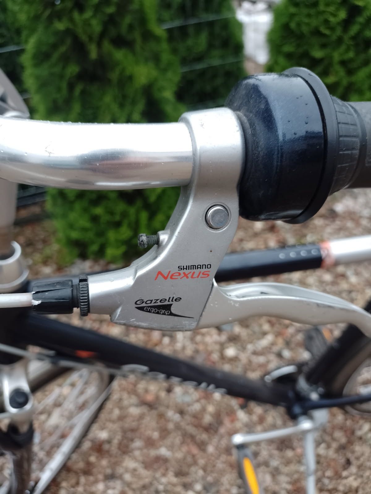 Rower Gazelle oryginalny
