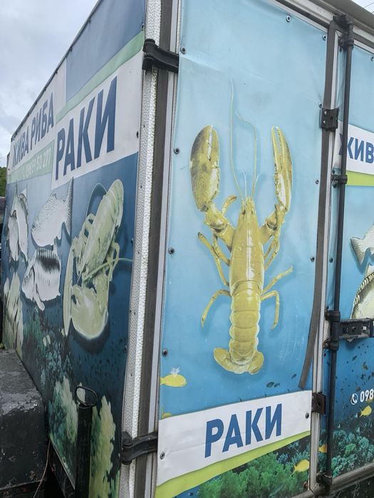 Пріцеп Germania 22 см рама двох осний