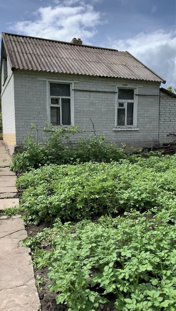 Дача Соловʼїна роща