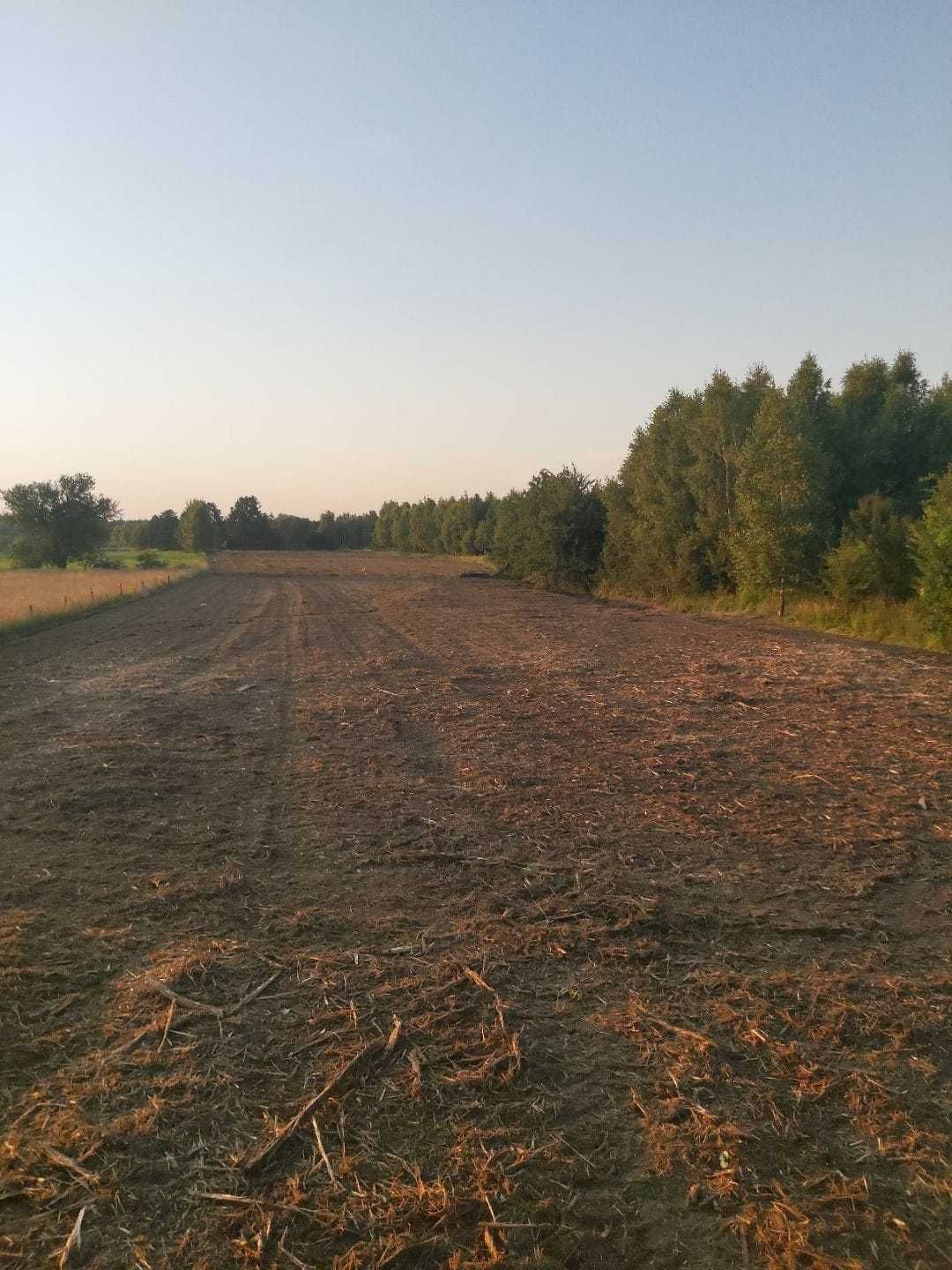 Mulczer leśny, mulczerowanie, przyczepa z HDS, koszenie łąk