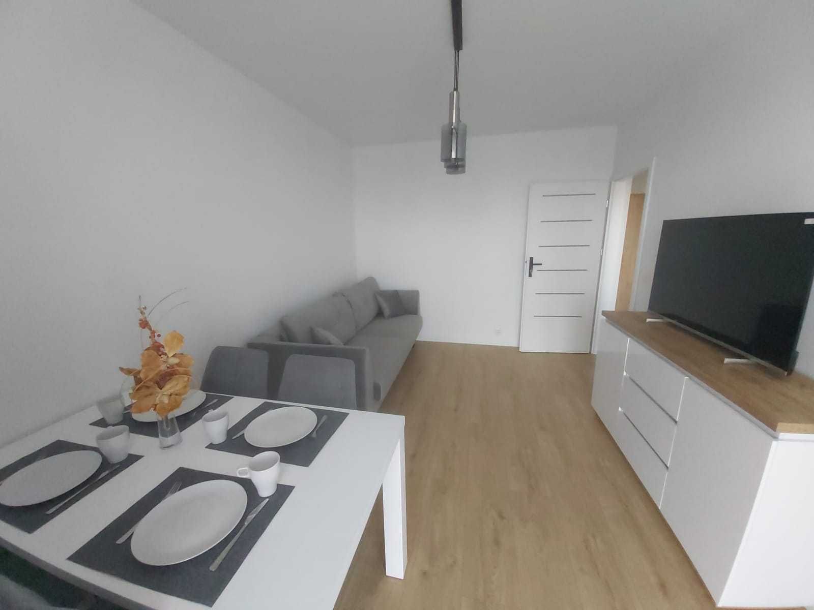 Apartament noclegi