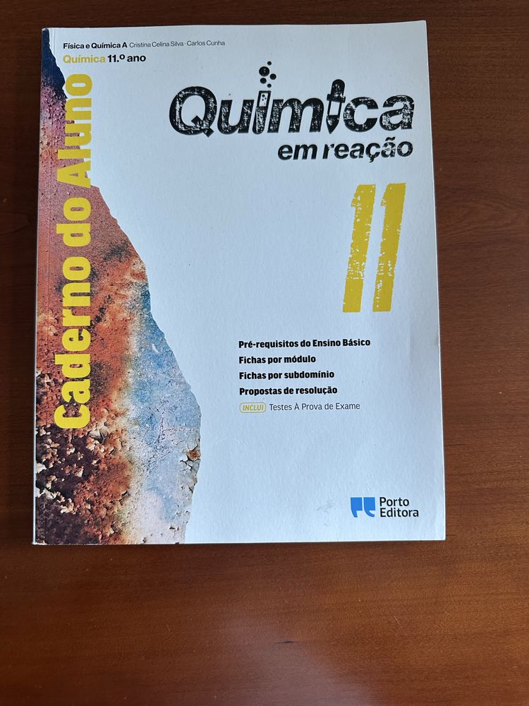 Livro fichas 11 ano