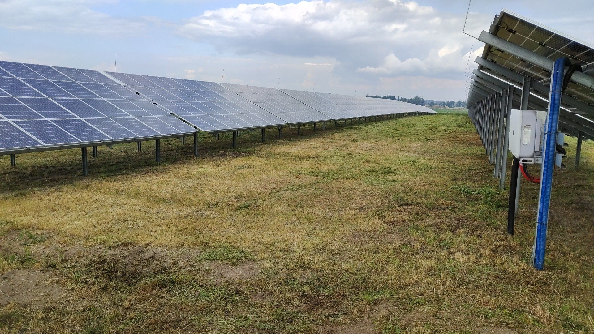 Koszenie farm fotowoltaicznych trawy koszenie farmy paneli nieuzytkow