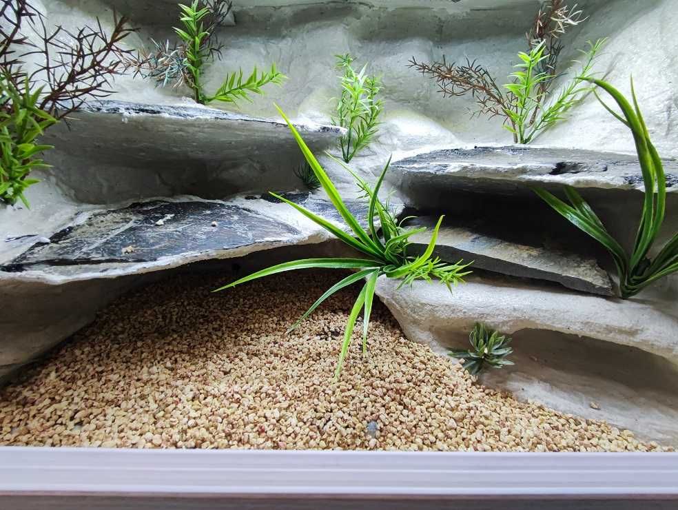 Terrarium pustynne nr618 60/40/40 dla gekona lamparciego NA ZAMÓWIENIE