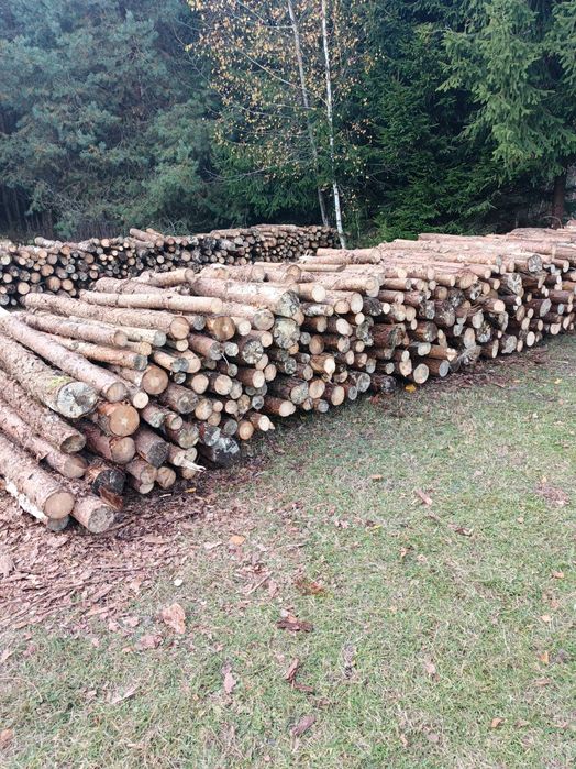 Drzewo opałowe sosna 110 zl