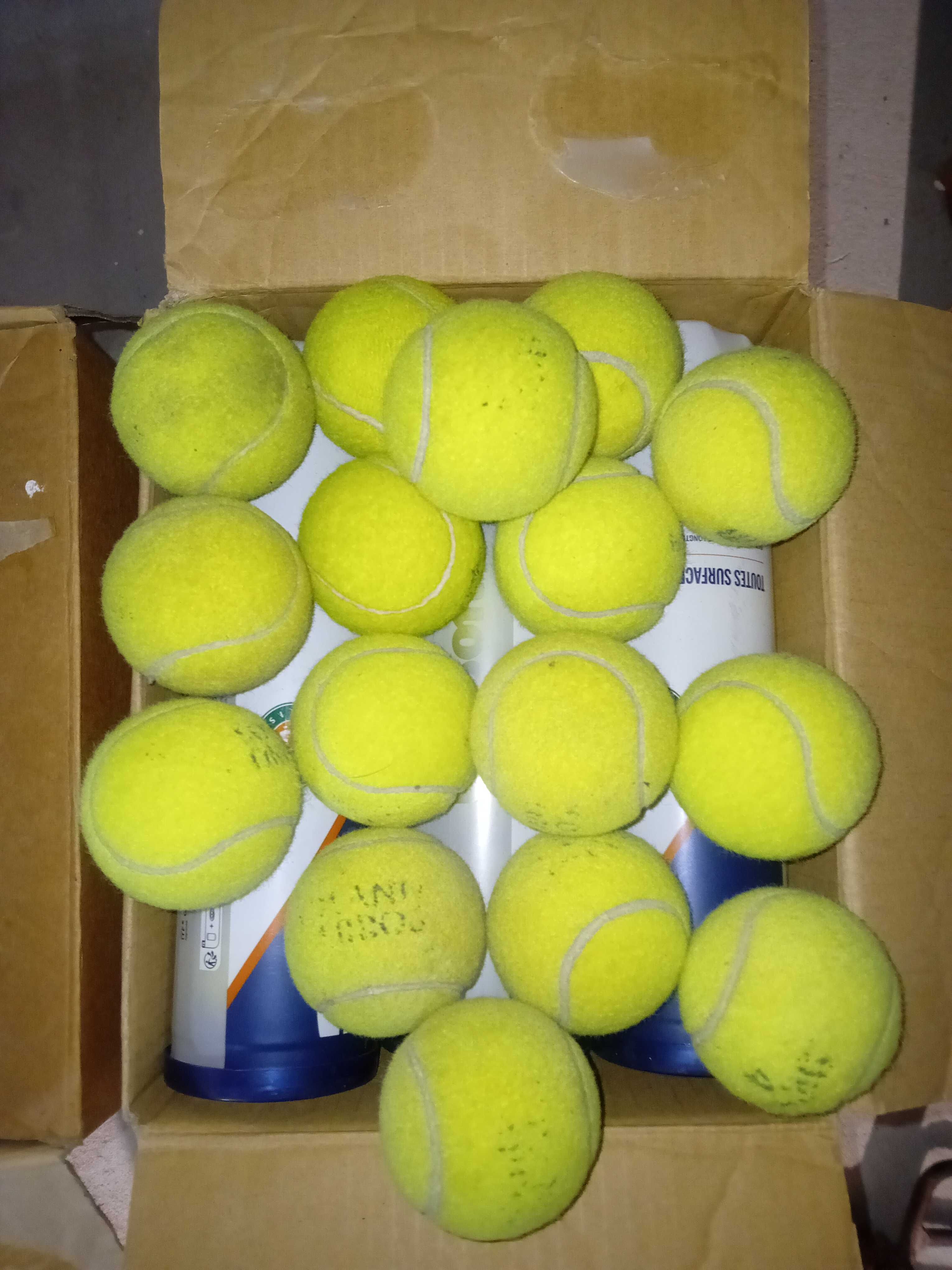 Lote 204 bolas de tenis Wilson