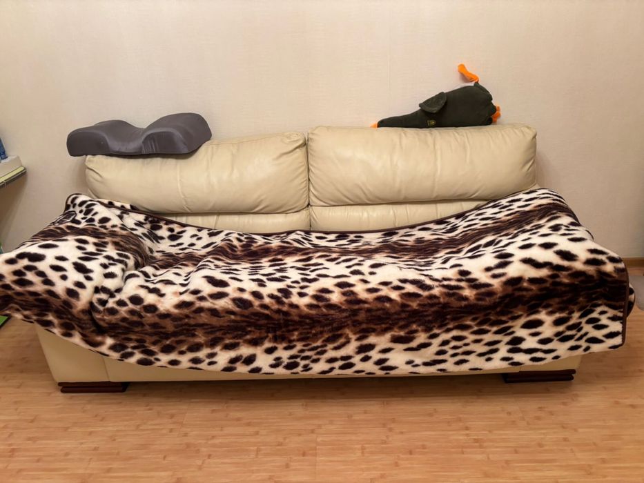 Віддам безкоштовно диван Киів