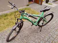 Rower rockrider 340