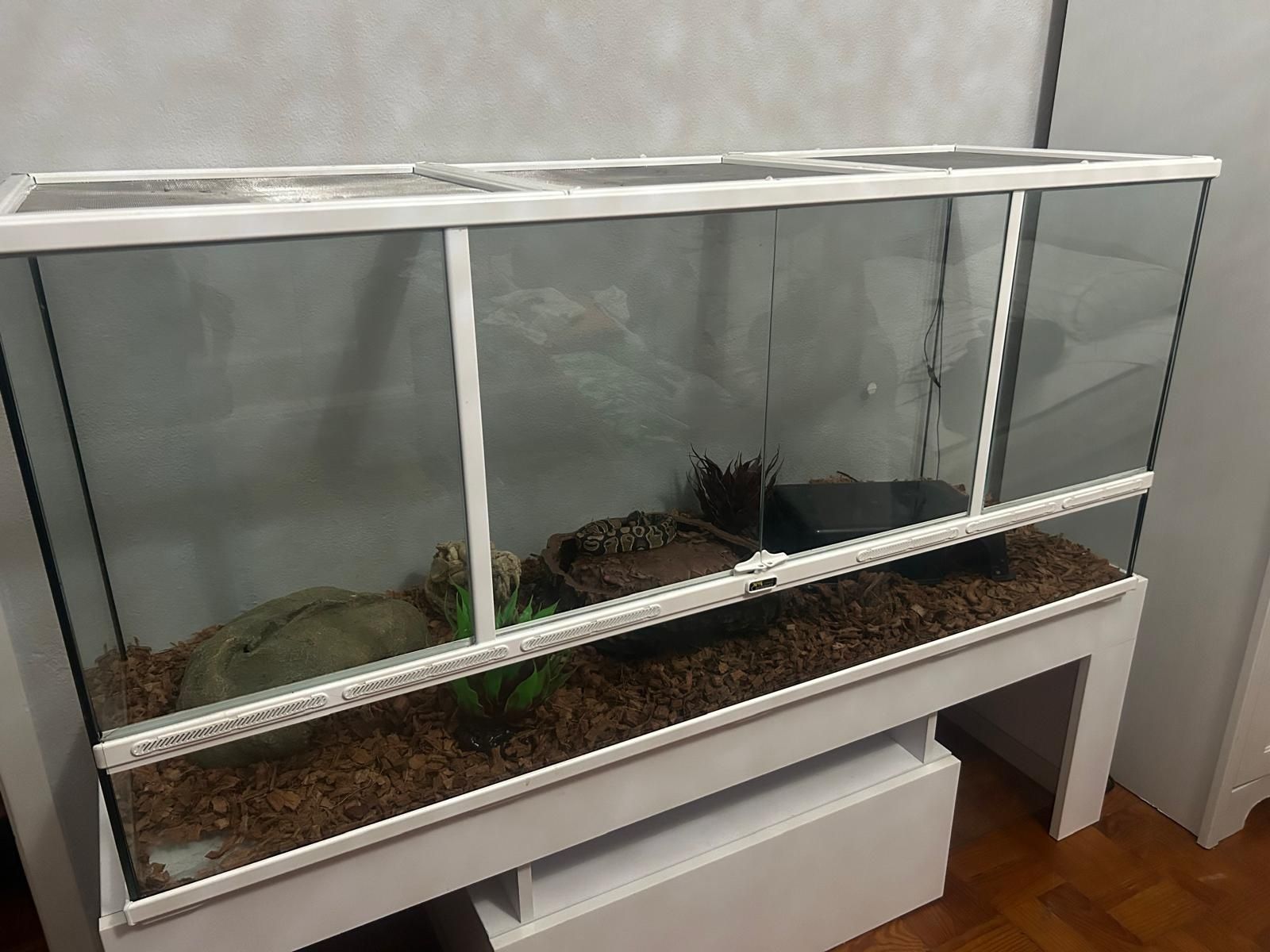 terrário praticamente novo com tudo incluido