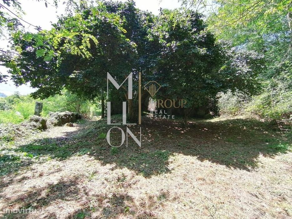 Propriedade próxima da Albufeira da Pala, no rio Douro, Marco de Canav