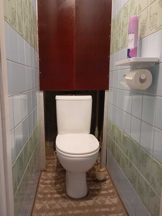 Приречная, вид на Днепр.