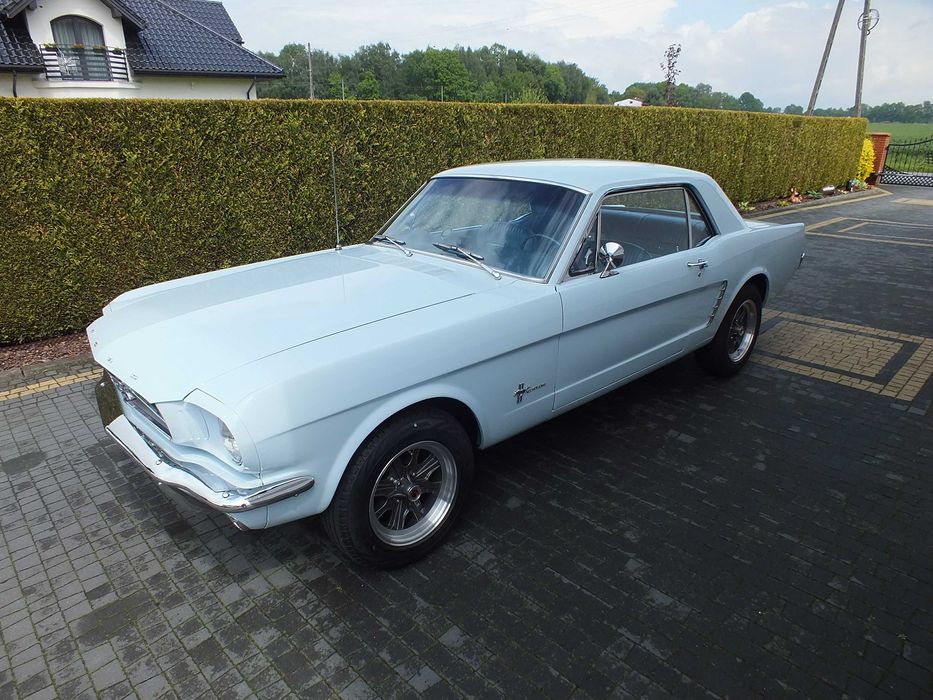 Auto Do Ślubu Wesele Przyjęcie Rocznica Ford Mustang