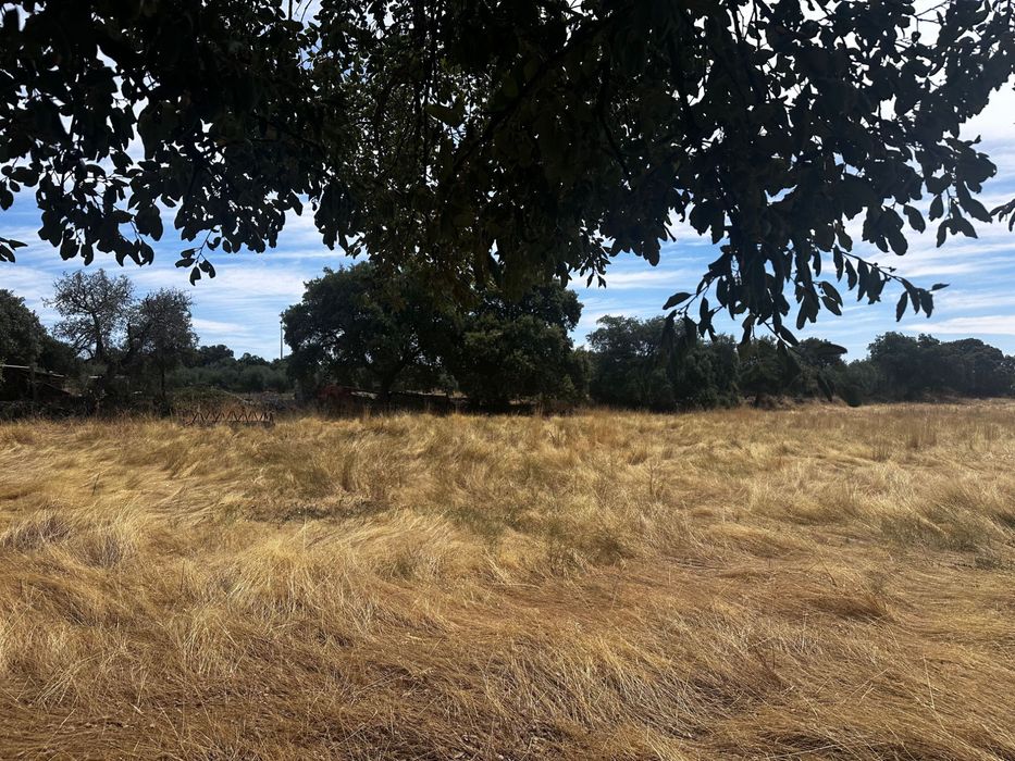 Terreno Rústico 2.132ha Zebreira para Agricultura e Criação de Gado