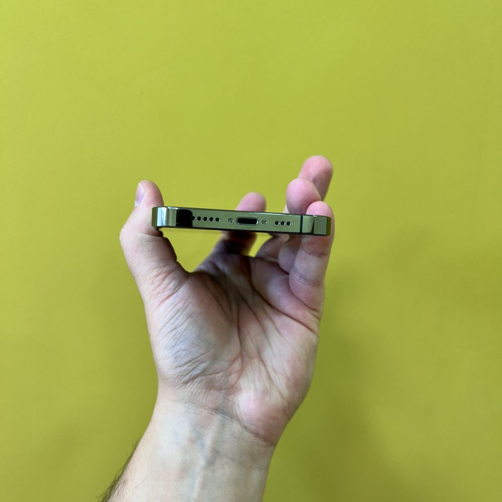 iPhone 13 Pro 1TB Graphite Neverlock