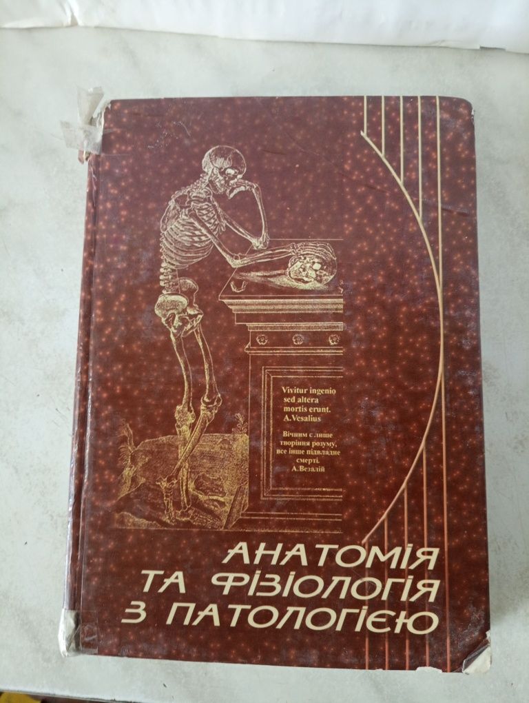 Основи медсестринства. Анатомія та фізіологія з патологією.