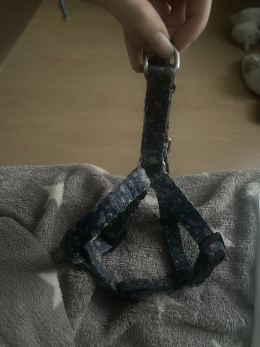 Шлея для невеликої собаки M, кенгурушка, комбінезон зимовий