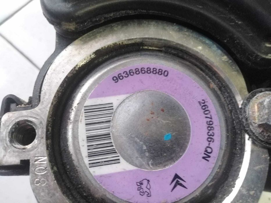 Bomba da Direção Assistida Peugeot 206 1.4 HDI