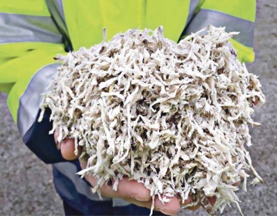 Доставка свіжого жому