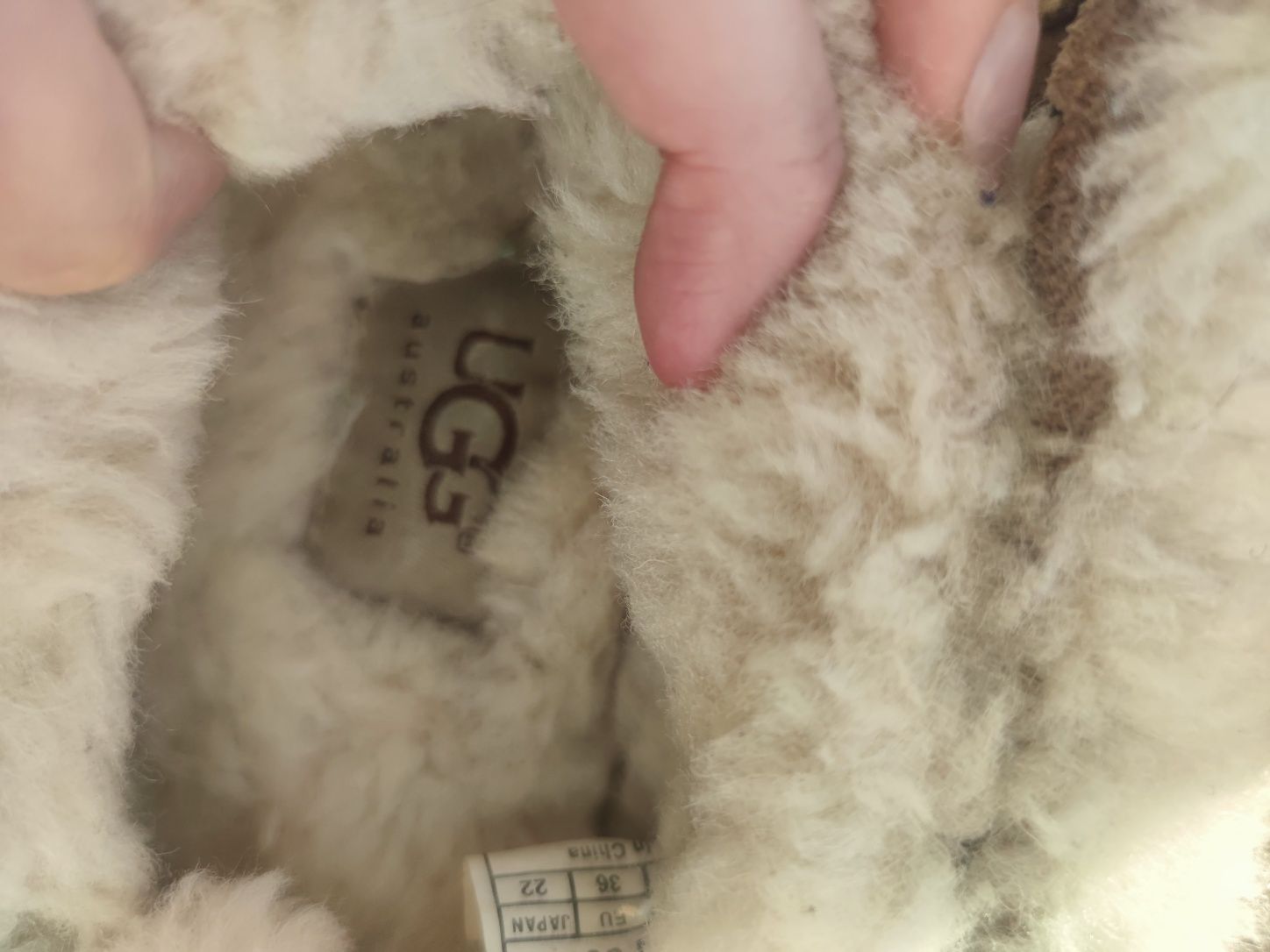 Мокасини Ugg оргінал