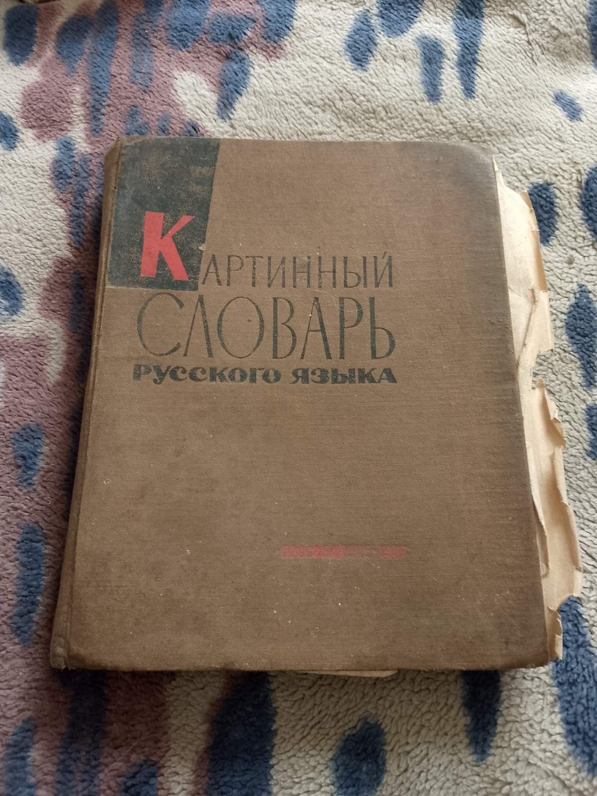 Картинный словарь. Русского языка.