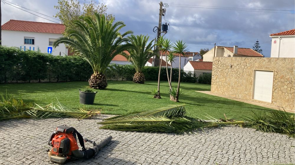 Serviços de espaços verdess
