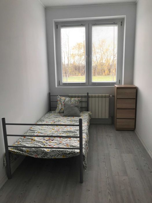 pokoje do wynajęcia