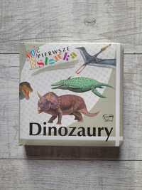 Książeczka o dinozaurach, dino, T-Rex, Moje pierwsze słówka