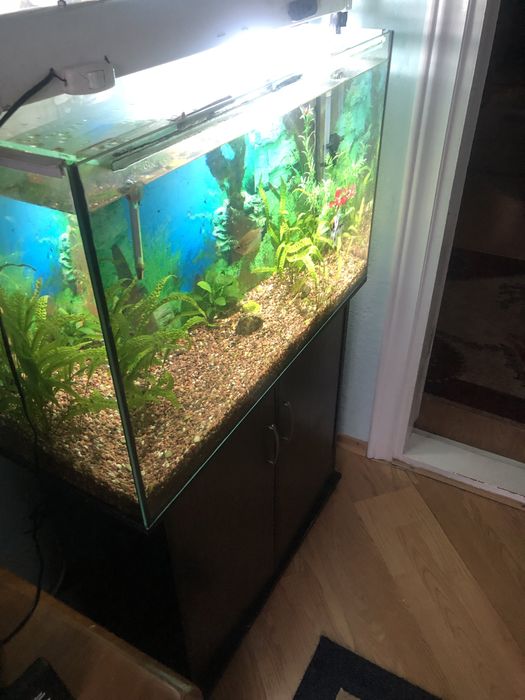 Акваріум 100л продам..