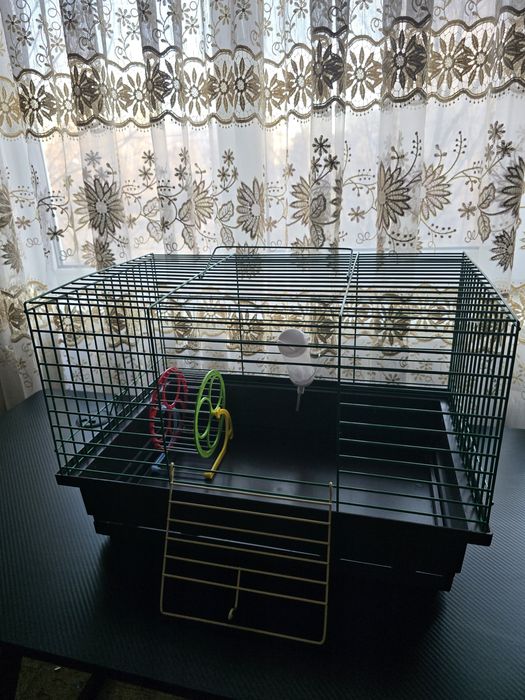 Клітка для хом’яка / гризуна + поїлка та колесо