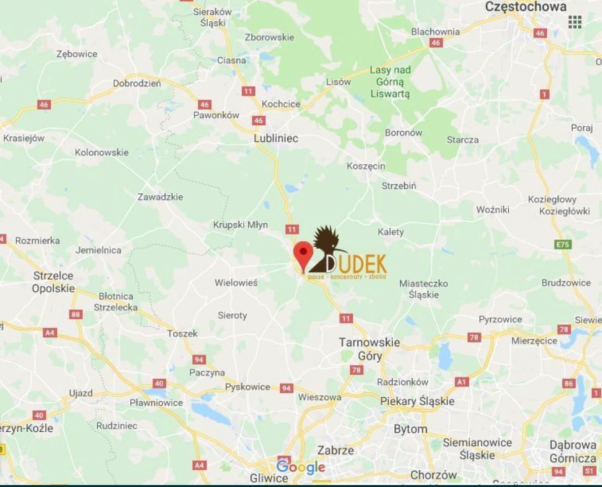Karma dla szczygła majora