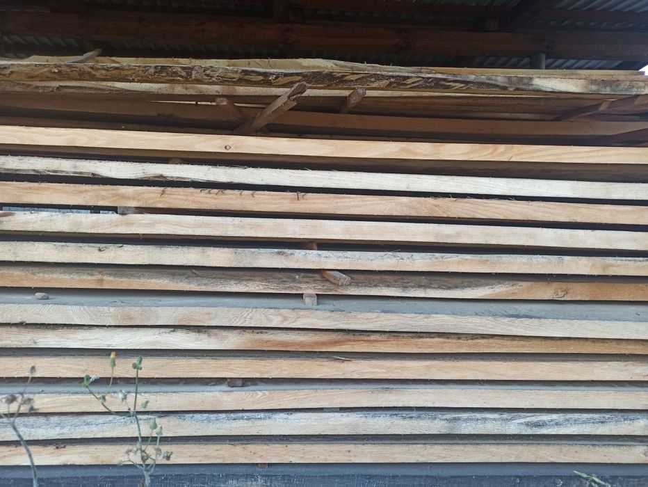 Dąb czerwony króciaki, wiąz deski tarcica foszty