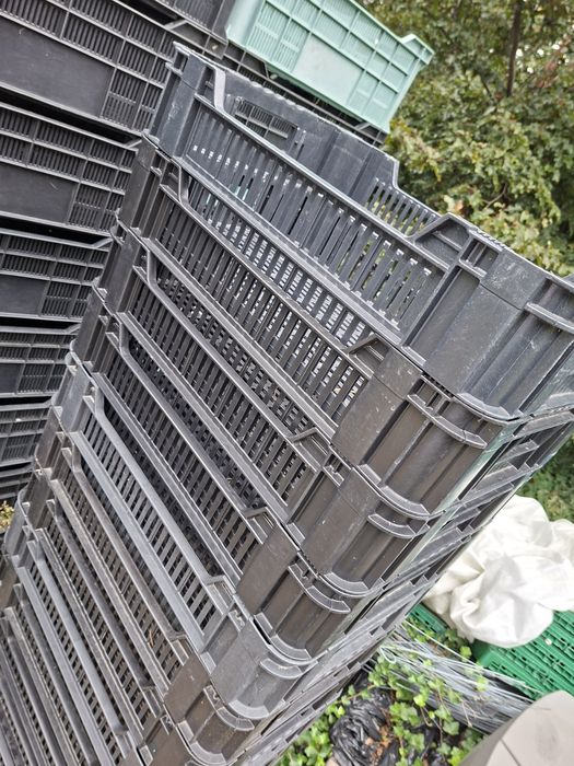 Skrzynki plastikowe owoce warzywa