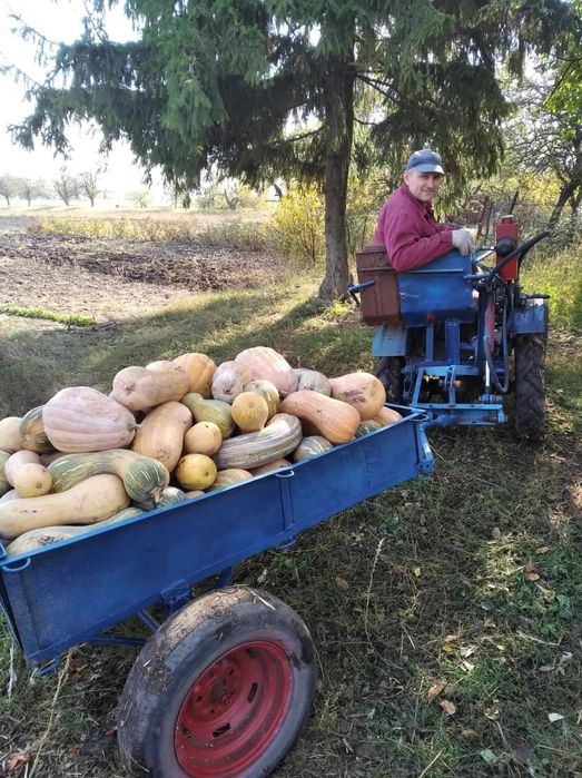 Міні трактор саморобний