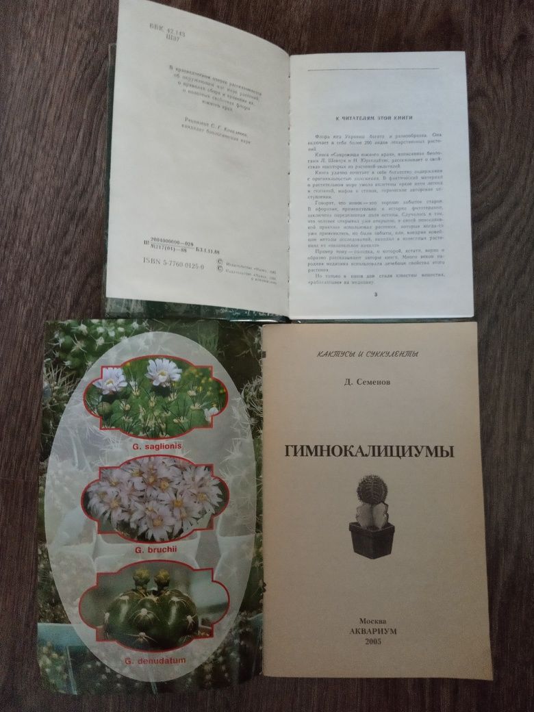 Книги - Л. Шевчук и Д. Семенов