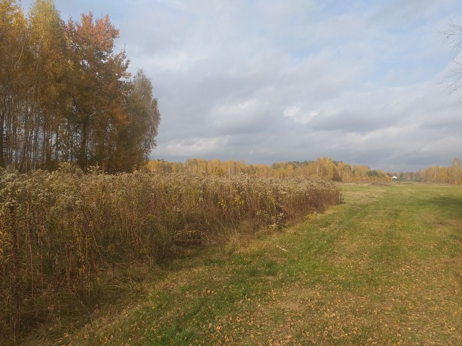 Łysobyki działka z warunkami zabudowy