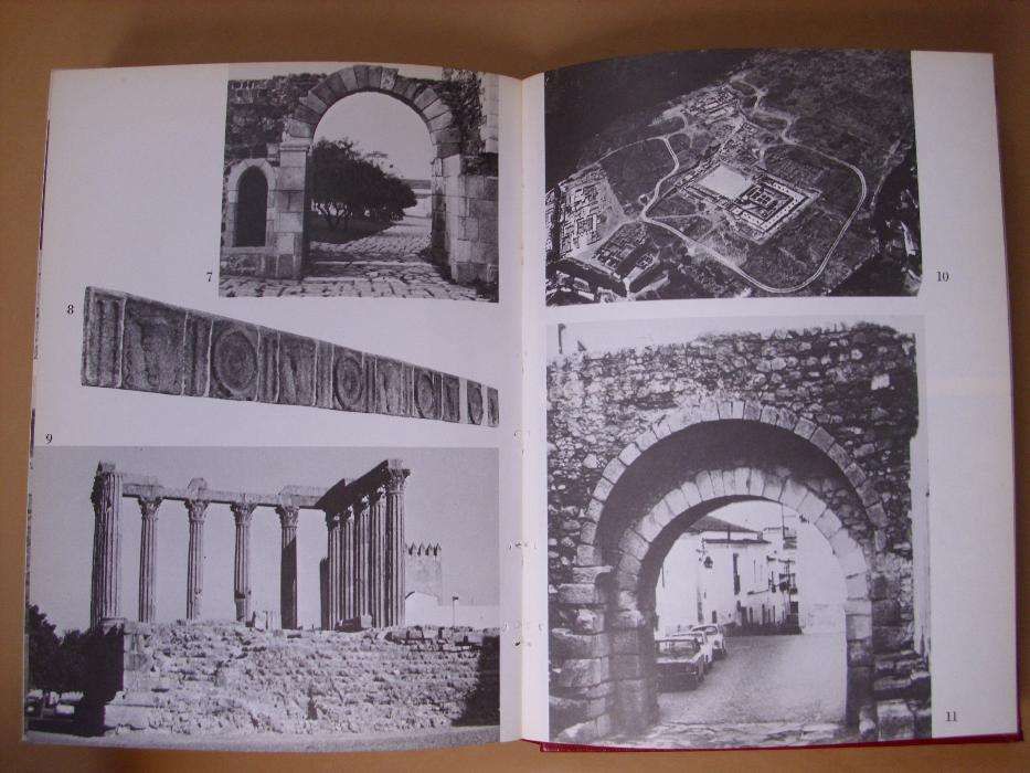 Raridade - Führer Durch - Carl Hagenbecks Tierpark