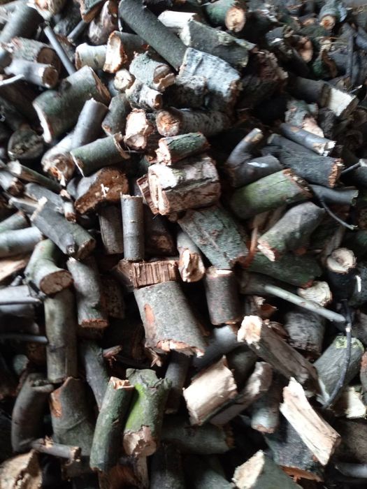 Дрова сухі 500грн куб