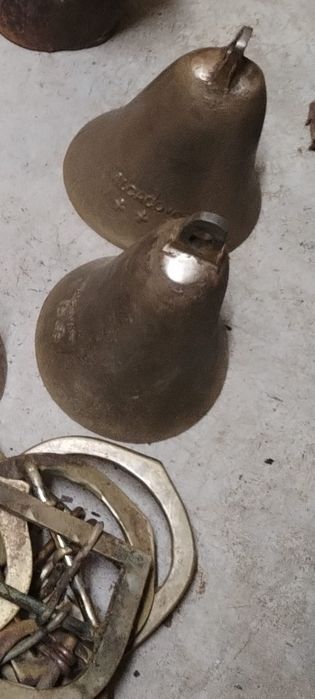 Esquilas para Ovelhas