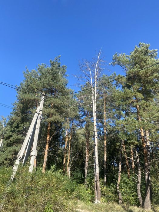 Продаж ділянки Гореничі вул Лісна