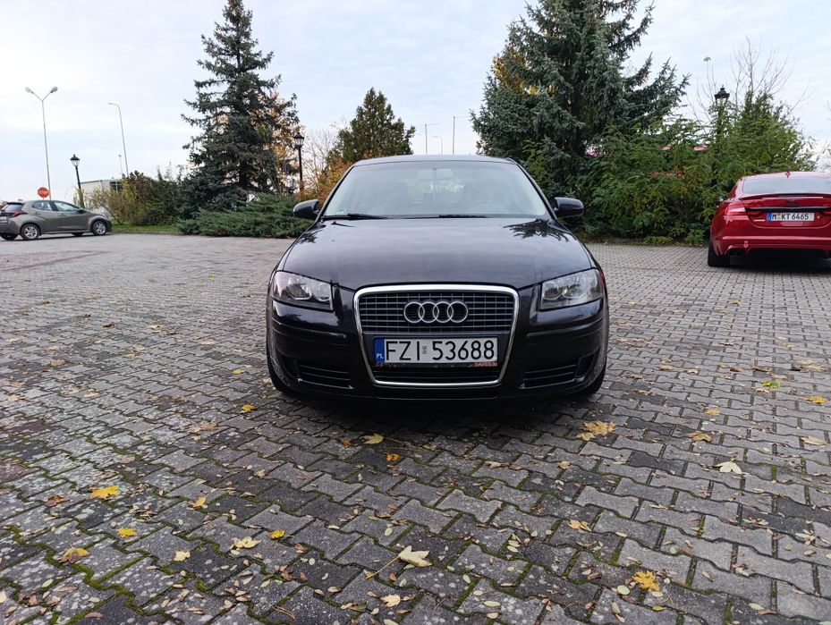 Audi A3 Lift 1.9 TDI BXE Klima Elektryka Jasne Wnętrze Alufelgi