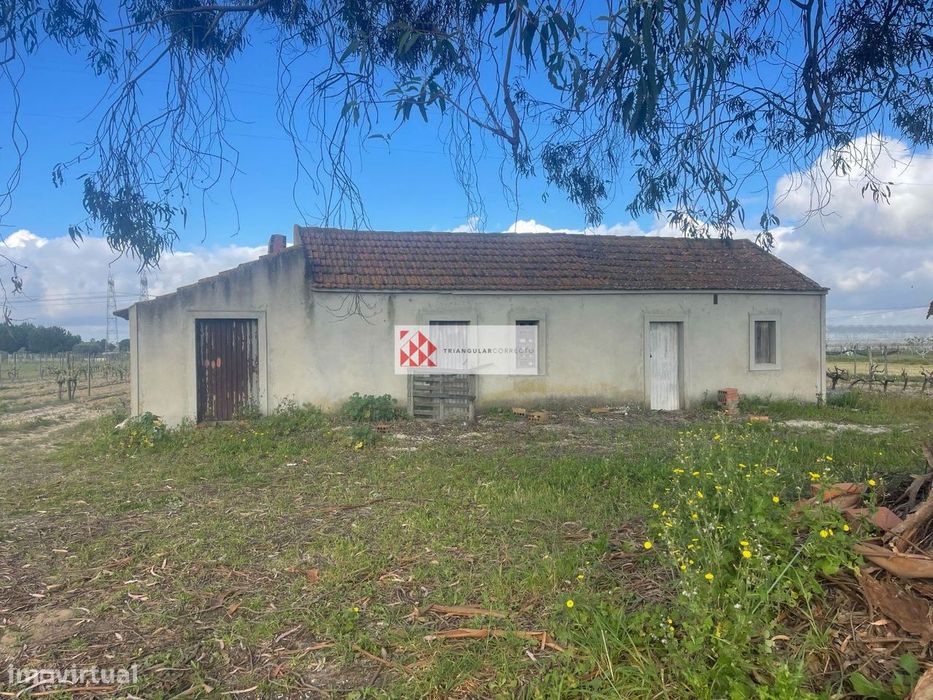 Quinta, para venda, Palmela - Pinhal Novo